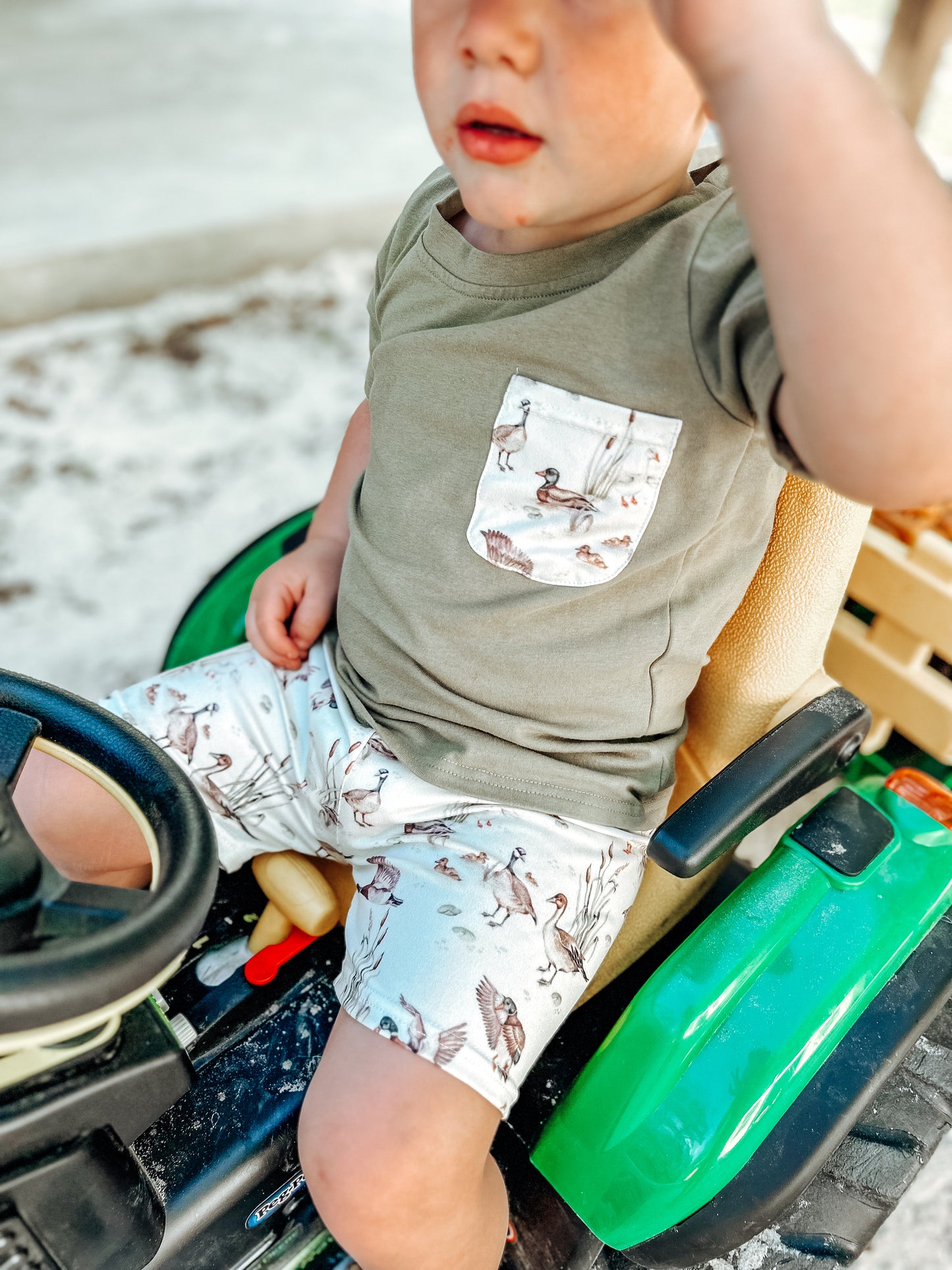Vintage Ducks Two piece set