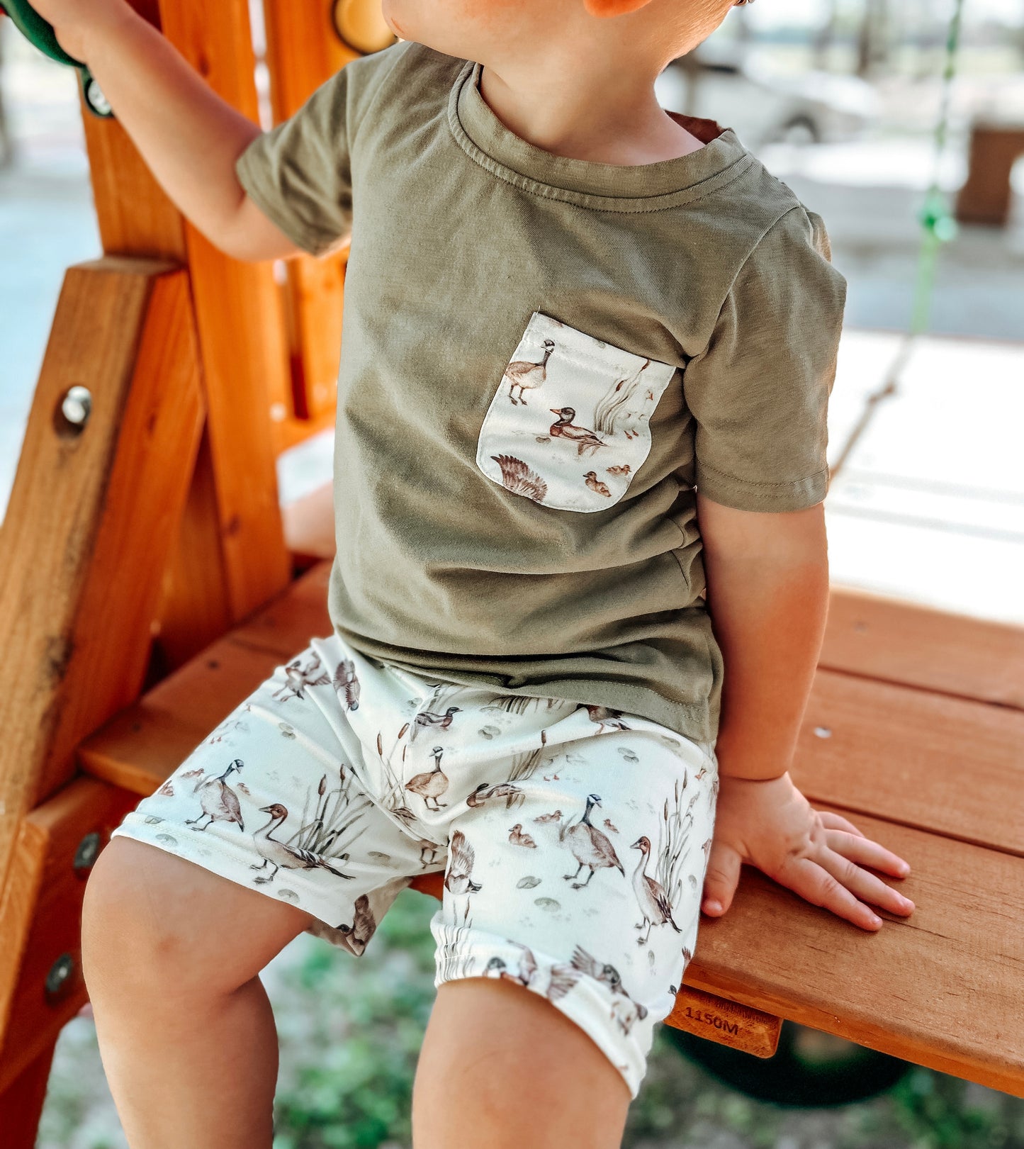 Vintage Ducks Two piece set