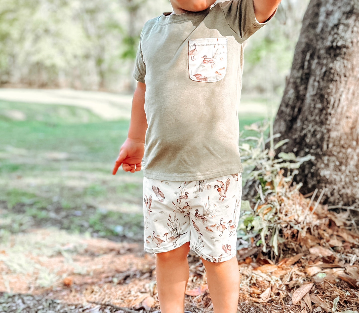 Vintage Ducks Two piece set
